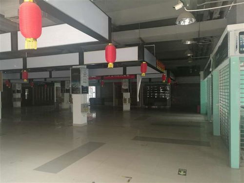 河源市廠房安全檢測鑒定機(jī)構(gòu) 創(chuàng)新技術(shù)指導(dǎo)助力企業(yè)安全生產(chǎn)，筑牢工業(yè)發(fā)展基石